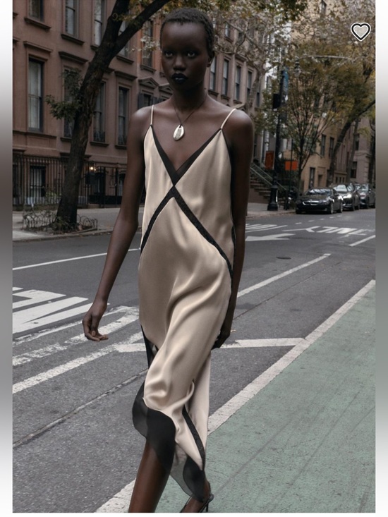 Zara Dresses & Skirts - Zara Champagne Slip Dress with Black Contrast Trim